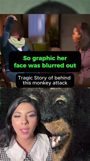 The Tragic Story of Travis the Chimpanzee Attack