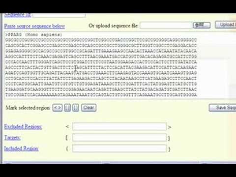 PCRプライマー設計ツール Primer3の使い方