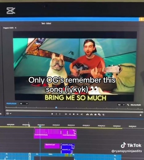 remember this song recorded like a month before the spy ninjas ended