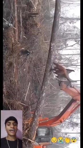 our nature is very polluted 😔🥺.