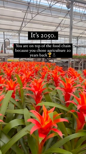 It’s 2050. You are at the top of the food chain because you chose agriculture 20 years ago. Future of Agriculture? Very secure. With soil degradation, increase in population and greater demand for food, we will be needing more and more farmers in the future. Food is a basic necessity and growers and the ones who are able to supply good quality food will be leading the markets. Prepare for the future by learning and equipping yourselves today. [ Agriculture, Farming, Future, Food, Technology ] #f