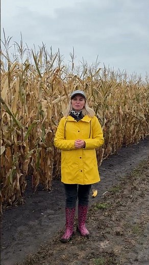 New in the Dekalb portfolio #shorts