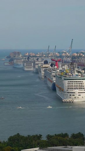 Miami water traffic is like no other! 🚢🚢🚢 #miami #cruises #cruiseship #timelapse #portmiami
