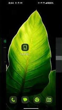 Setup Lemuroid Emulator in Tv