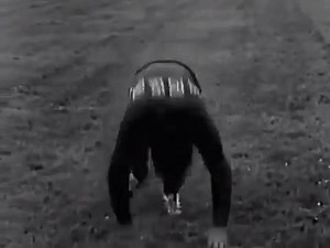 Outdoor training with Vladislav Tretiak... 😳😳😳 🎥: sovietvisuals/Twitter | Hockey Beast