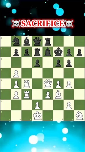 bloc chess on TikTok