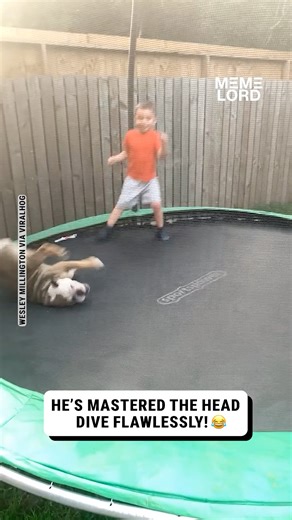 The happiest bulldog on the planet 🥰 | Meme Lord