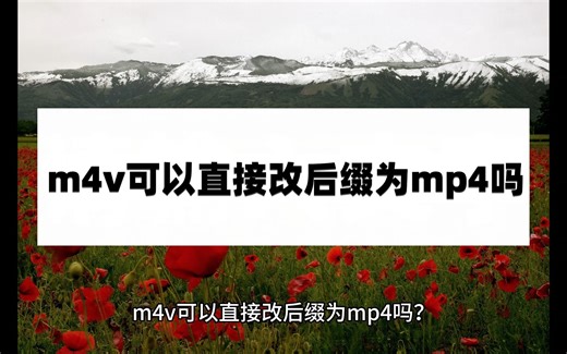 m4v可以直接改后缀为mp4吗？答案藏在这篇文章内