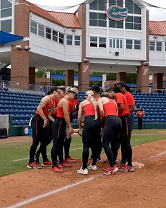 Georgia Softball on Reels