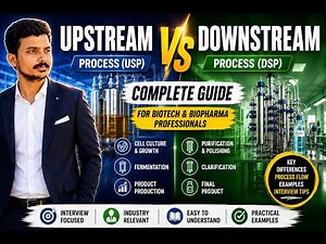 Upstream vs Downstream: Which Process Is More Critical?