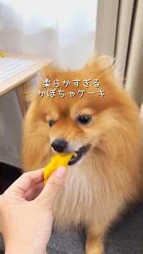 柔らかすぎるかぼちゃケーキ🎃