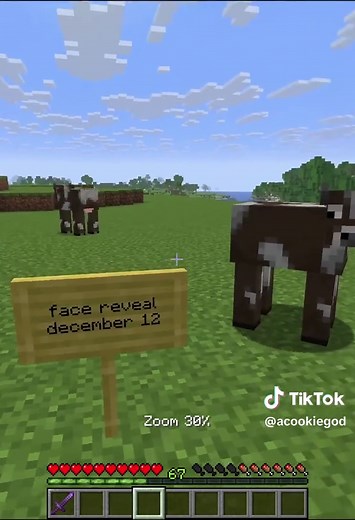 Face Reveal and Minecraft Adventures with Cookie God
