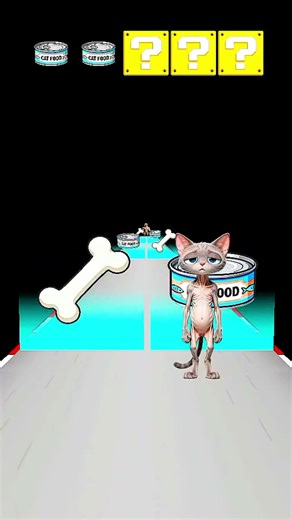 Cat Vs Dog Challenge #shorts