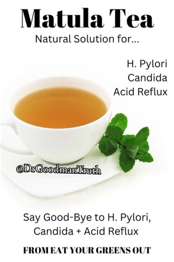 Matula Tea: Natural Remedy for H. Pylori and Reflux