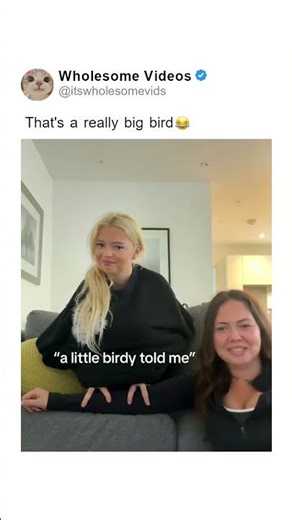 That's a really big bird 😂