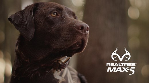 Realtree | Max-5