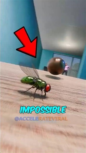 A Fly vs a Bullet… Who Wins in 0.02 Seconds? 😱 #shorts