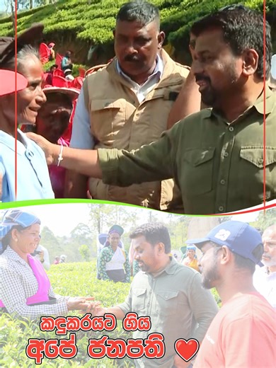 කඳුකරයට ගිය අපේ ජනපති #akd #nppsrilanaka #npp #anurakumaradissanayaka