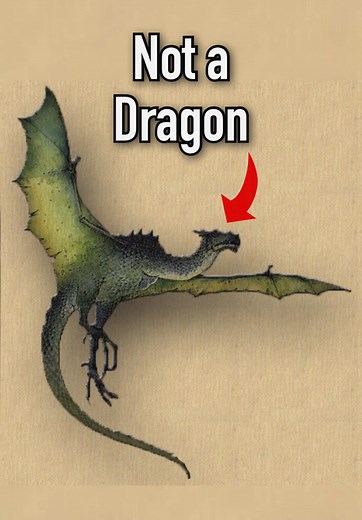 Explore the Fascinating History of Dragons