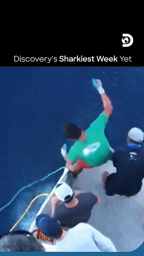 Real shark attacks. Real footage. “Caught: Shark Attack” is not for the faint of heart.​ Shark Week, Today at 8:05PM (SEA) & 7:05PM (BKK/JKT) only on HBO Max & Discovery Channel Southeast Asia ⁣​ ⁣​ @hbomaxsg @hbomaxmy @hbomaxth⁣⁣⁣⁣⁣⁣​ @hbomaxid @hbomaxph @hbomaxtw @hbomaxhk⁣​ ⁣⁣⁣​ #Discovery #DiscoveryChannel #DiscoverySEA #SharkWeek #SharkWeek2025 | Discovery Channel Southeast Asia