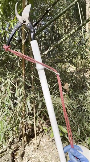 DIY Long-Reach Pruner: Trim Tall Weeds Easily!