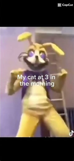 My cat... #fnaf #cat #glitchtrap #onlydeimos #memes