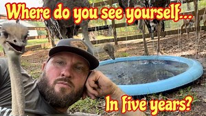 102K views · 8.9K reactions | Ostriches living their best lives... | Ima Survivor Donkey and Farm Animal Sanctuary | Facebook