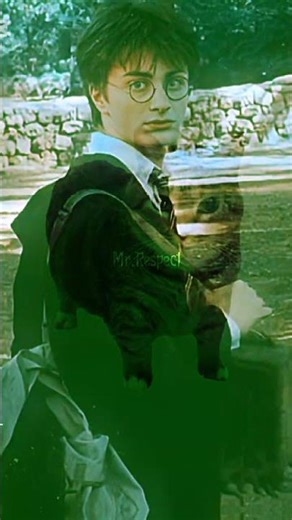 Harry Potter - zoom tactick Edit | MONTAGEM UNKNOW