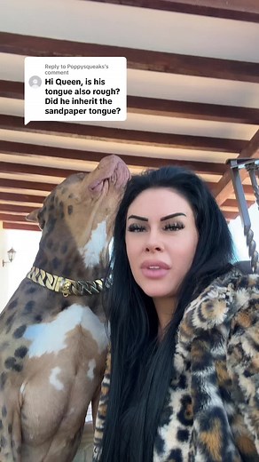 Exploring the CatDog Hybrid Phenomenon