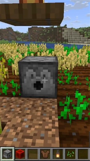 minecraft farmer hack #minecraft