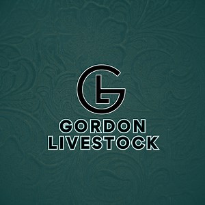 Consignments | Gordon Livestock