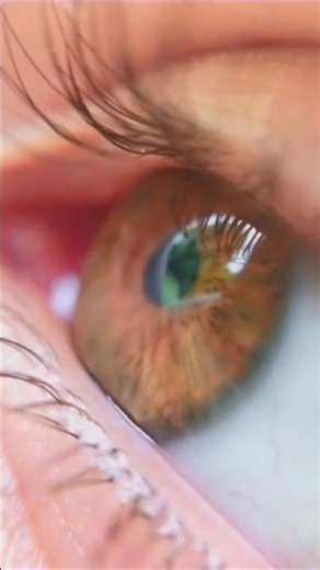 2030 Me Phones Bina Screen Ke? 😱 Future Tech Explained