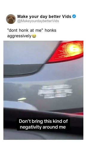 "dont honk at me" honks aggressively 😭
