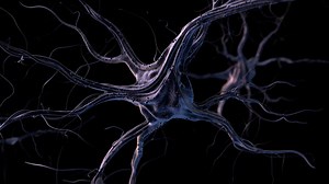 Success Formula [Episode 1 | English Short  Version]  - World Film Collection 1 - Intellect Pictures