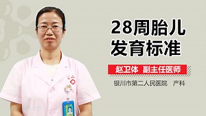 28周胎儿发育标准