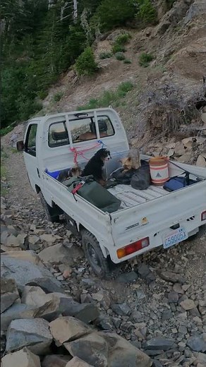 Honda Acty and Suzuki Carry 4x4 Kei trucks #keitrucks #olympicoverland #JDM