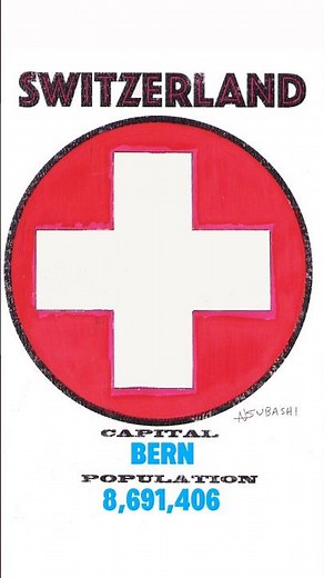 Switzerland 🇨🇭 Flag. #switzerland #swiss #flag