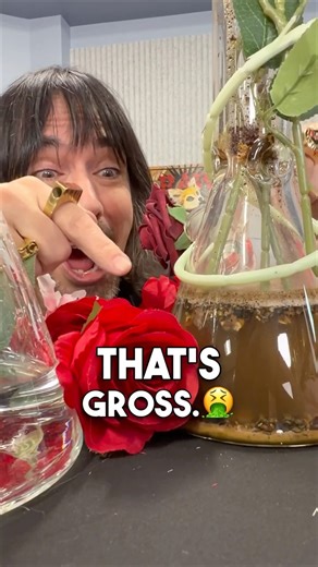 Why Dirty Water Kills Your High 🫠