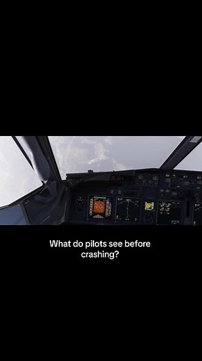 Pilots POV Before Crashing: Terrifying Airplane Alarms