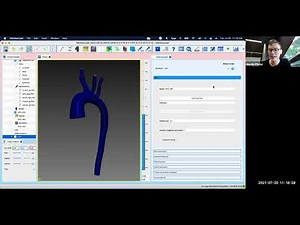 SimVascular Tutorial - 0D modeling