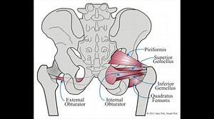 Biomechanics Final Project soccer kick