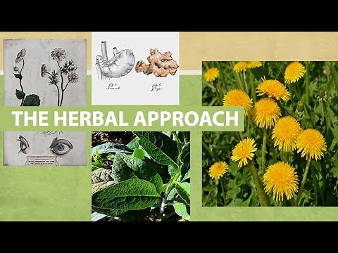 Herbal Allies for Emotional Distress