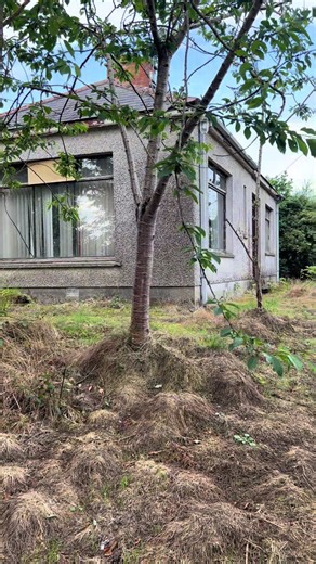 Abandoned urbex ni on TikTok