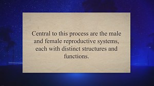 Structure and Function of Male and Female Reproductive Systems