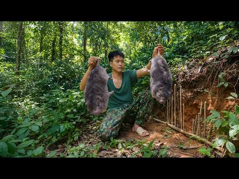 Discovering animal footprints underground, setting traps - Caring for animals, weathering the storm