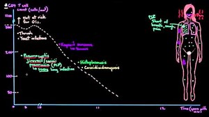 Defining AIDS and AIDS defining illnesses