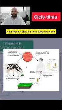 🦠 Ciclo da Tênia: Como a Solitária Infecta o Organismo?