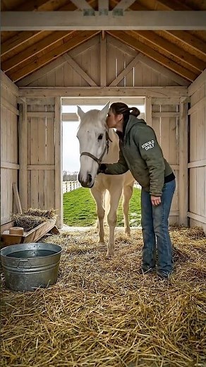 I Rescued This Horse and Built Him a Home 🐎🔨❤️