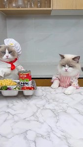 73K views · 8K reactions | Mac & Cheese! #thatlittlepuff | That Little Puff | Facebook