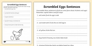 Scrambled Egg Sentence Unscramble
